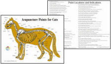 Cat Acupressure Acupuncture Chart