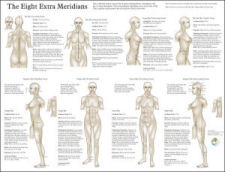 The Eight Extra Meridians Poster