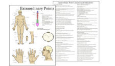 Extraordinary Acupuncture Points Chart Extraordinary Acupuncture Points Chart