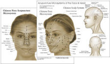 Acupuncture Microsystems of the Face and Head Acupuncture Microsystems of the Face and Head