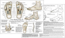 Foot Reflexology and Acupuncture Chart