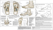 Foot Reflexology and Acupuncture Chart Foot Reflexology and Acupuncture Chart