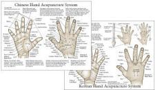 Chinese Hand Acupuncture Chart Chinese Hand Acupuncture Chart