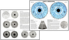 Iridiagnosis Iridology Chart