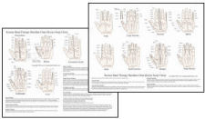 Korean Hand Therapy Meridian Chart