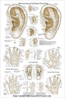 Acupuncture Microsystems Poster Acupuncture Microsystems Poster