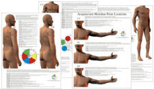 Acupuncture Meridian Point Chart Set