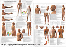 Acupuncture Meridian Point Locations Chart Acupuncture Meridian Point Locations Chart
