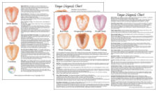 Chinese Tongue Diagnosis Chart Chinese Tongue Diagnosis Chart