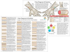 Chinese Pulse Diagnosis Chart