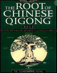 The Root of Chinese Qigong