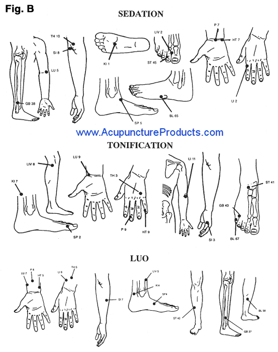 Contemporary Acupuncture Diagnosis - EMI