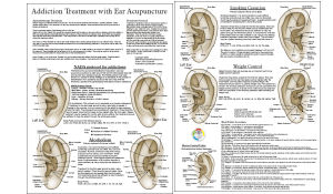 Smoking Cessation Ear Acupuncture Point Chart 