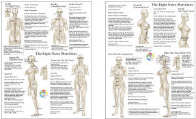 Eight Extraordinary Meridians