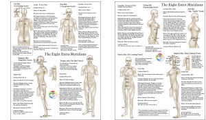 Extraordinary Meridians