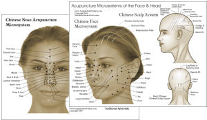 Face and Scalp Acupuncture Points