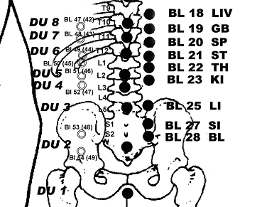 Low back acupuncture points