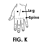 Lumbar Acupuncture Points