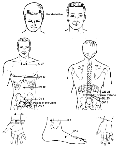 Acupuncture Reproductive Zones