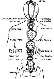 Chakras and the Spine