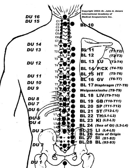 Bladder meridian and DU points