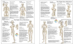 Eight Extra Meridians 