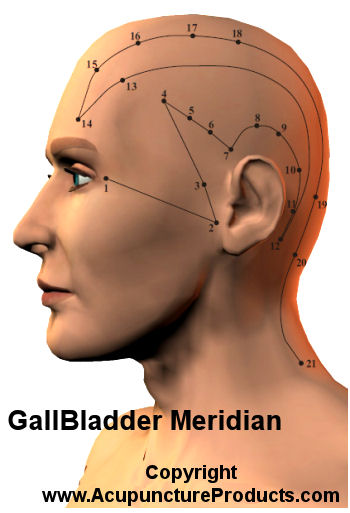 Acupuncture Gall Bladder Meridian