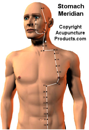 Acupuncture Stomach Meridian