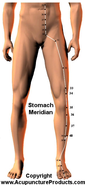 Acupuncture Stomach Meridian